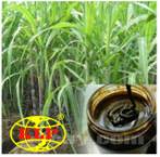 Mật rỉ đường - MS010